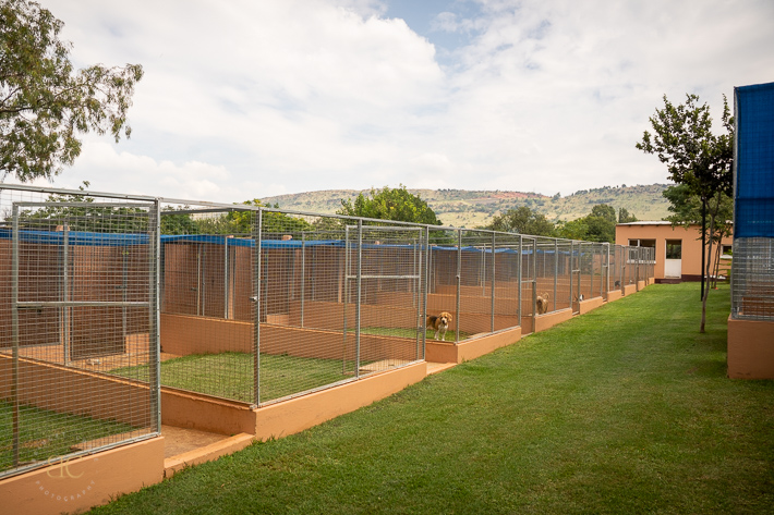 Snowpine Kennels & Cattery