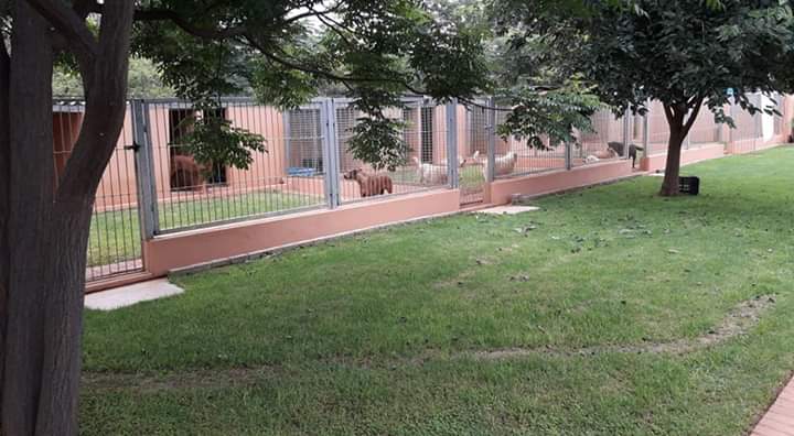 Snowpine Kennels & Cattery